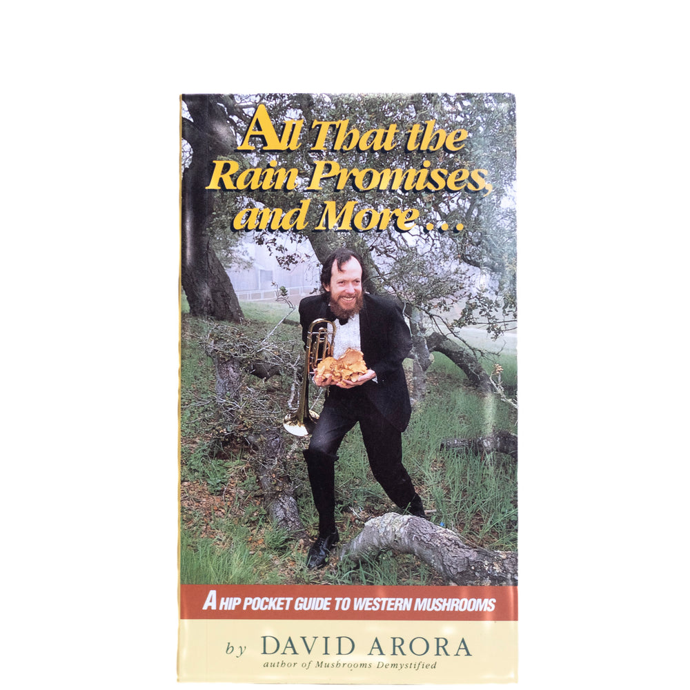 
                  
                    All That The Rain Promises And More
                  
                