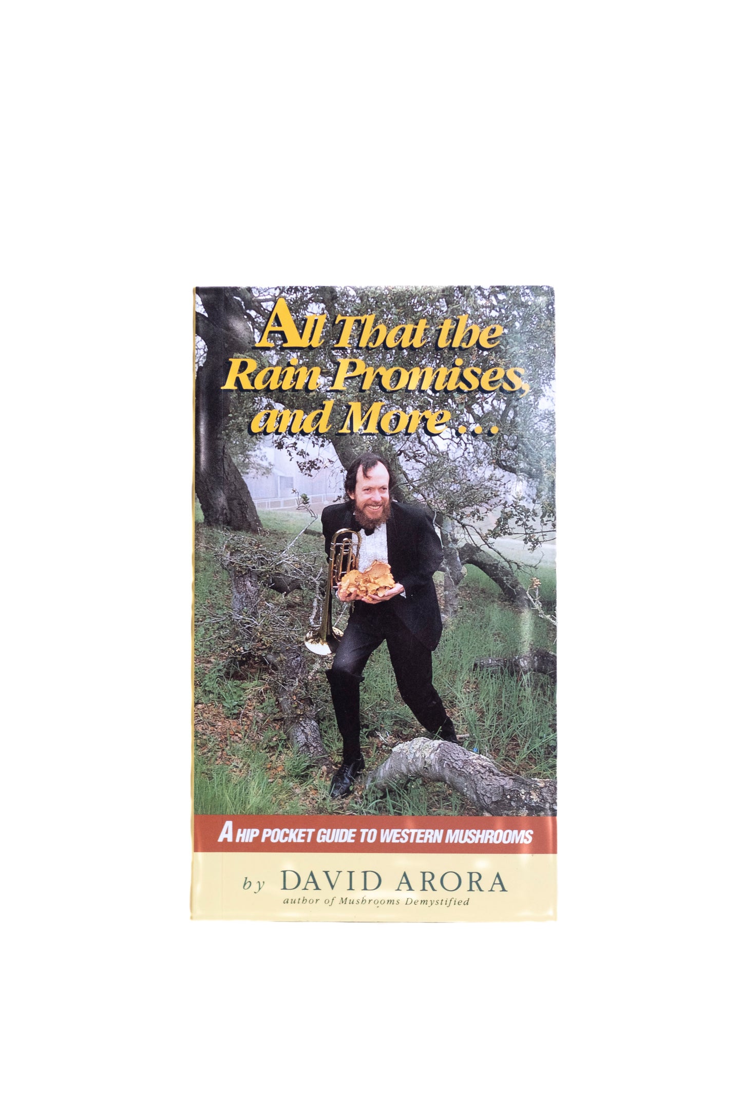 
                  
                    All That The Rain Promises And More
                  
                