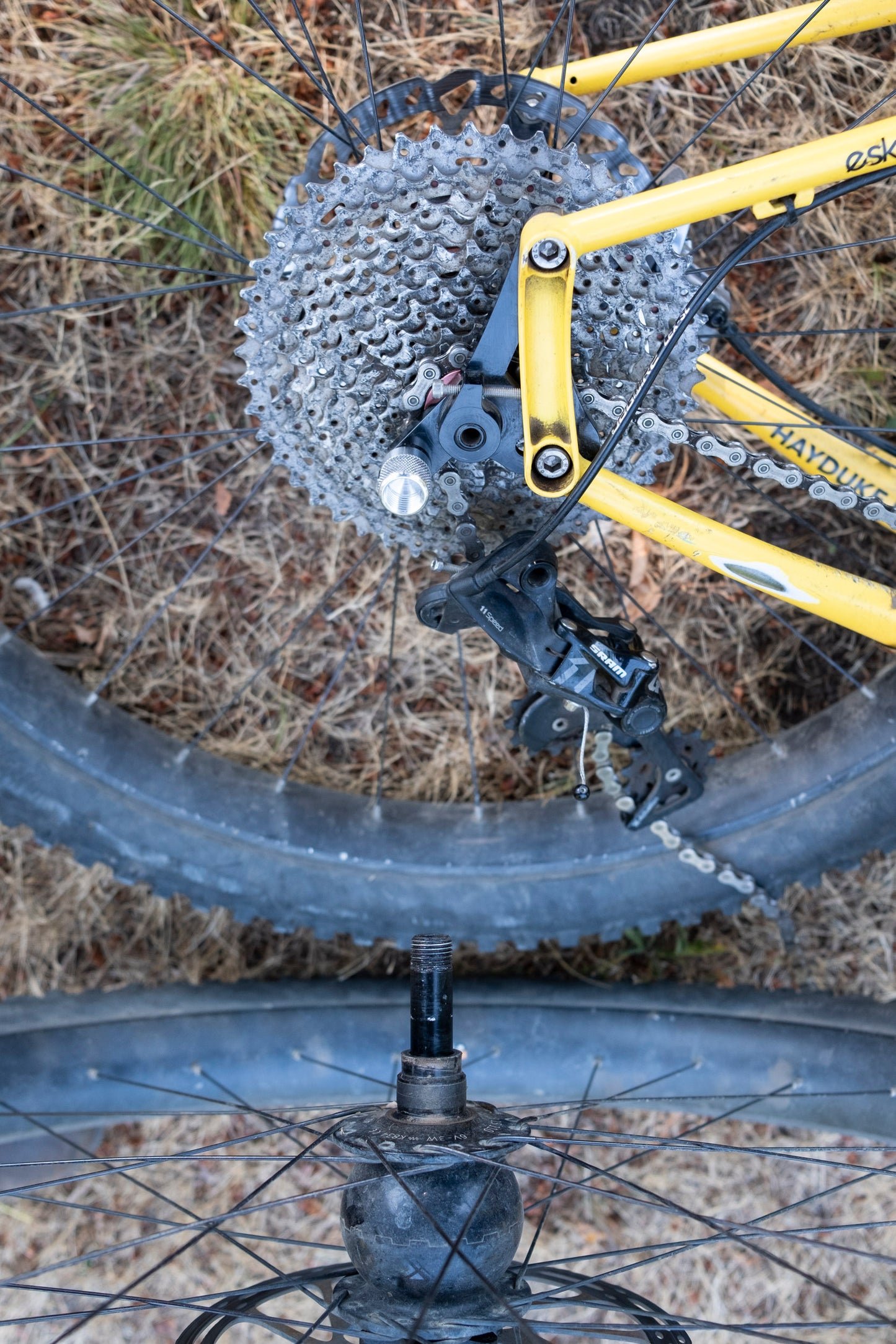 Adam's H.A.T. – Forager Cycles